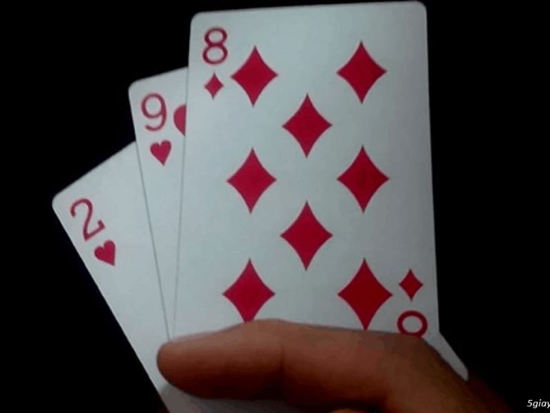 Bài 3 cây phổ biến vì tính linh hoạt của nó