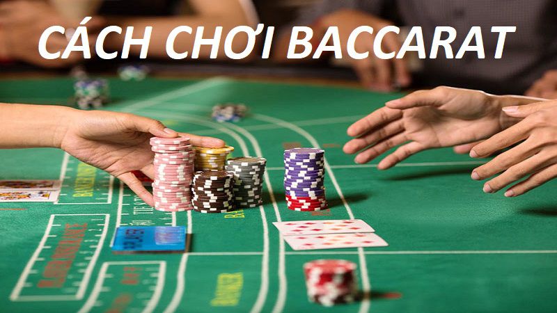 Cách chơi Baccarat Daga mọi người cần nắm Cách chơi Baccarat Daga mọi người cần nắm