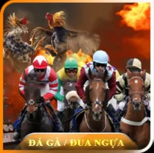 đá gà