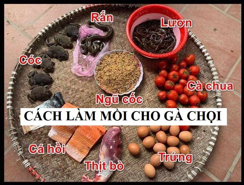 Nguyên liệu làm mồi cóc cho gà chọi