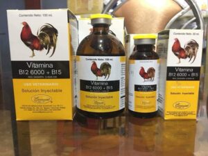 thuốc bổ cho gà đá