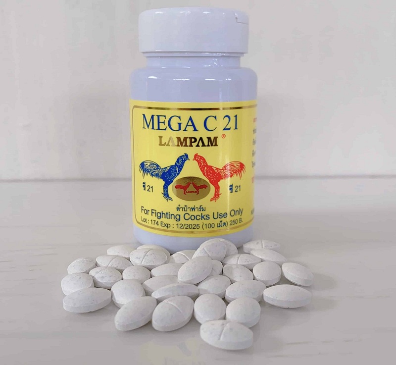 Bổ sung vitamin, khoáng chất cho gà đá với Mega – C21