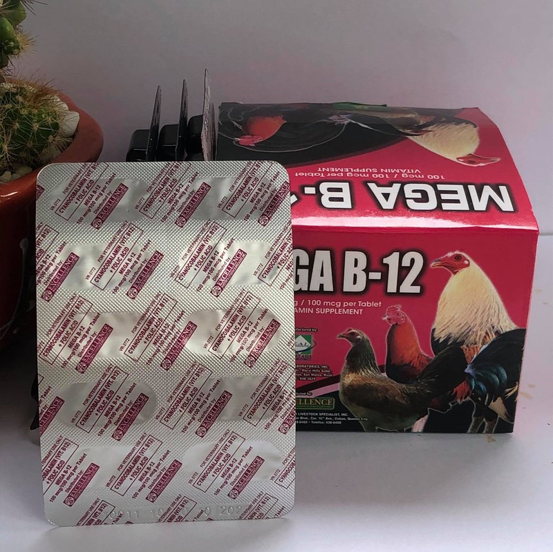 Thuốc cho gà đá Mega B12