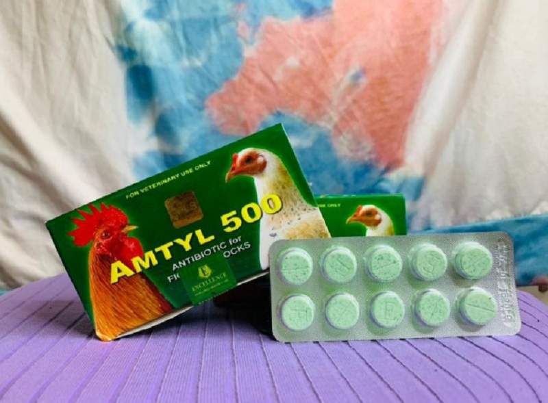 Thuốc đặc trị khò khè, nâng cao đề kháng Amtyl 500