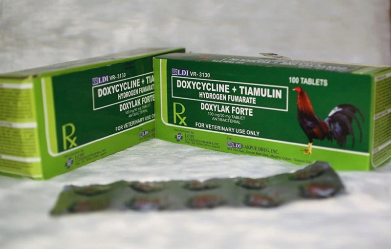 Doxylak Forte – Điều trị khò khè, viêm phổi cấp tính cho gà đá