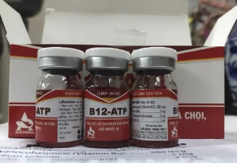 Vitamin tổng hợp cho gà đá B12 – ATP dạng xịt nên tiện sử dụng