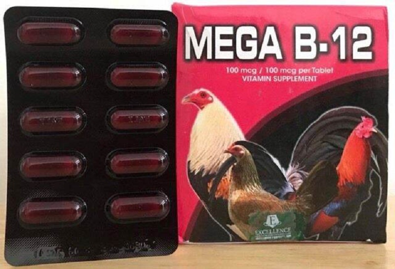 Mega B12 giúp gà đá tăng thể lực, sức mạnh